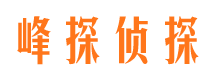 薛城市调查公司